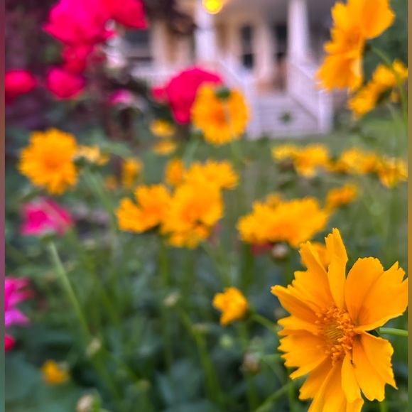 Meet your Posher, Michelle - Picture 7 of 9